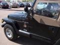 2001 Black Jeep Wrangler Sahara 4x4  photo #17