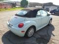 Aquarius Blue - New Beetle GLS Convertible Photo No. 8