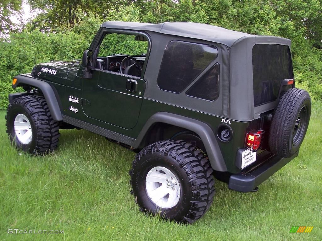 2004 Wrangler Willys Edition 4x4 - Moss Green Pearlcoat / Camouflage photo #2