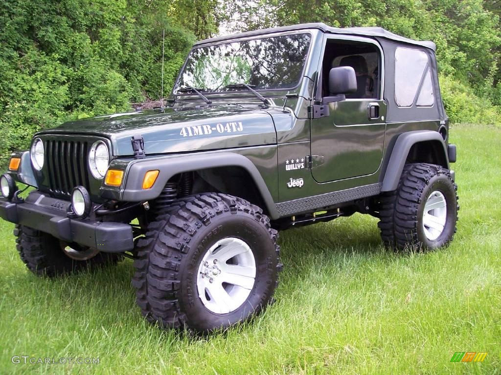2004 Wrangler Willys Edition 4x4 - Moss Green Pearlcoat / Camouflage photo #3