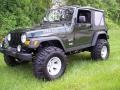 2004 Moss Green Pearlcoat Jeep Wrangler Willys Edition 4x4  photo #3