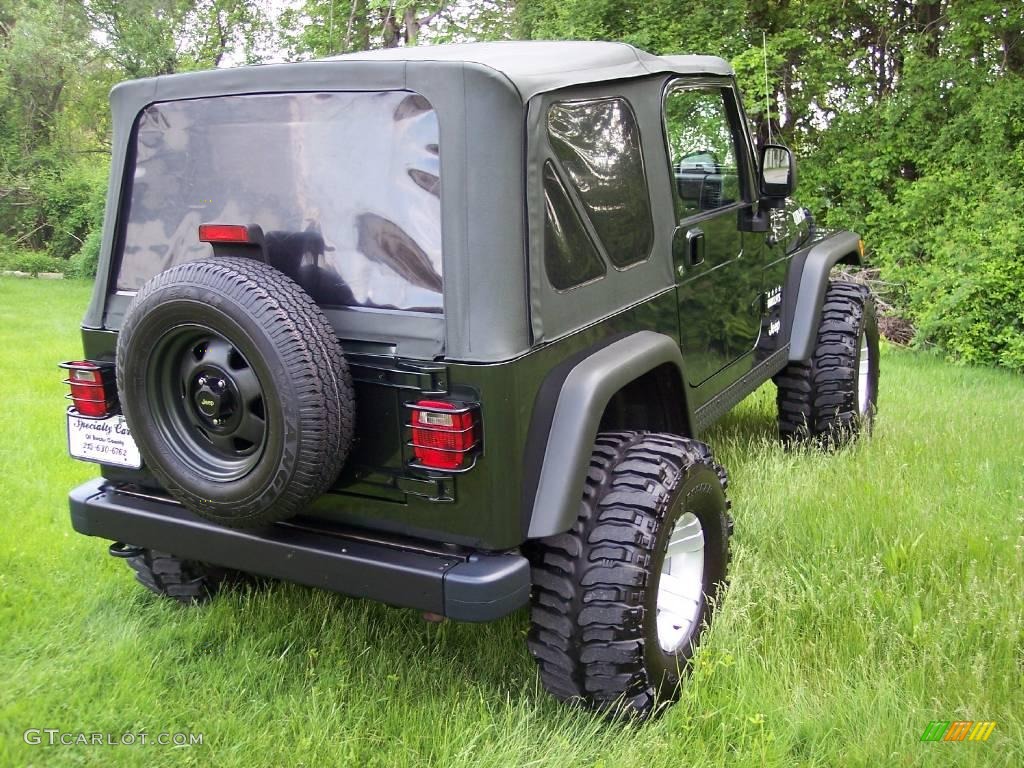 2004 Wrangler Willys Edition 4x4 - Moss Green Pearlcoat / Camouflage photo #4