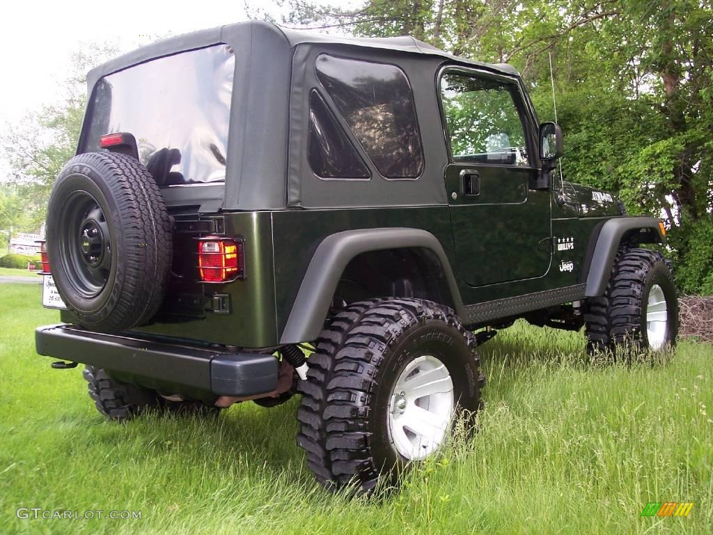 2004 Wrangler Willys Edition 4x4 - Moss Green Pearlcoat / Camouflage photo #5