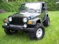 2004 Moss Green Pearlcoat Jeep Wrangler Willys Edition 4x4  photo #8