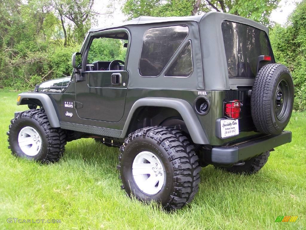 2004 Wrangler Willys Edition 4x4 - Moss Green Pearlcoat / Camouflage photo #9