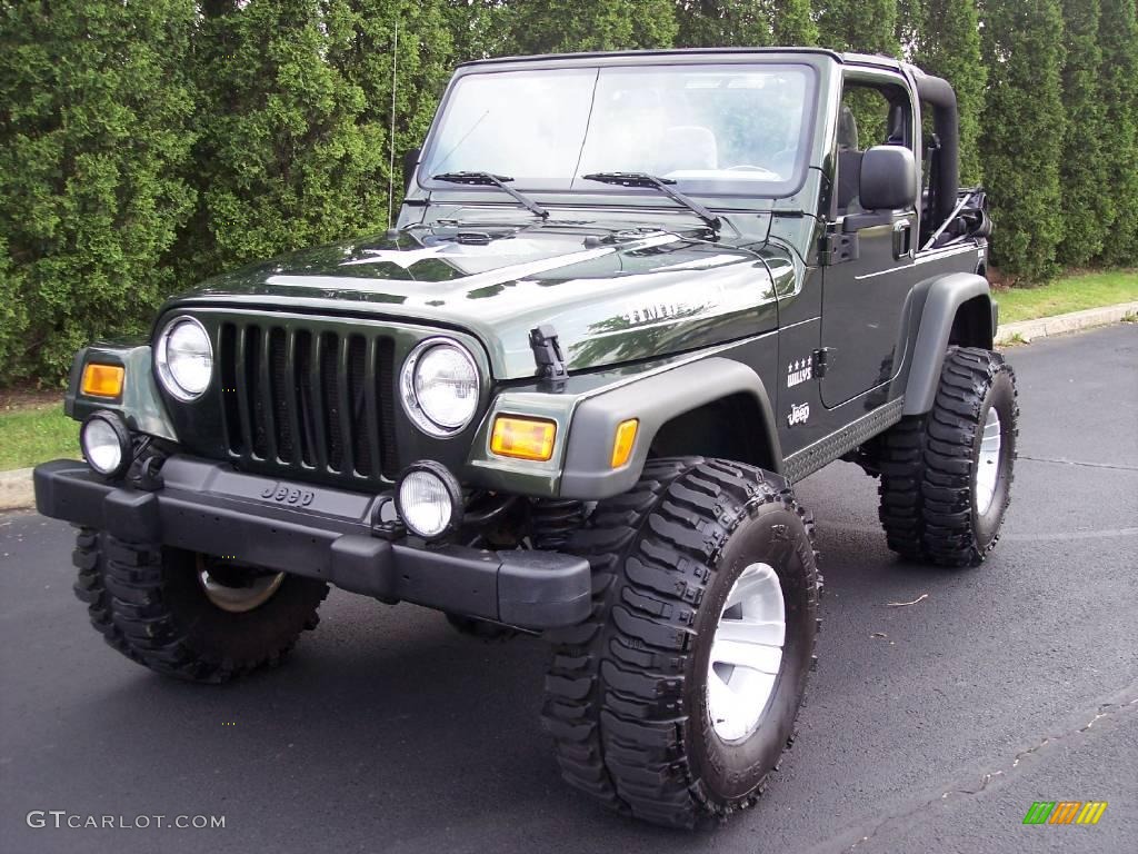 2004 Wrangler Willys Edition 4x4 - Moss Green Pearlcoat / Camouflage photo #13