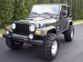 2004 Moss Green Pearlcoat Jeep Wrangler Willys Edition 4x4  photo #13