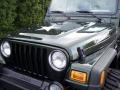 2004 Moss Green Pearlcoat Jeep Wrangler Willys Edition 4x4  photo #14