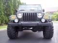 2004 Moss Green Pearlcoat Jeep Wrangler Willys Edition 4x4  photo #15