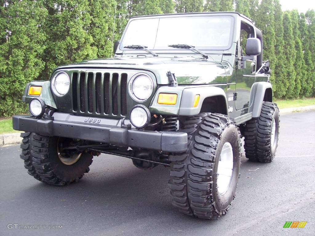 Moss Green Pearlcoat 2004 Jeep Wrangler Willys Edition 4x4 Exterior Photo #9363332