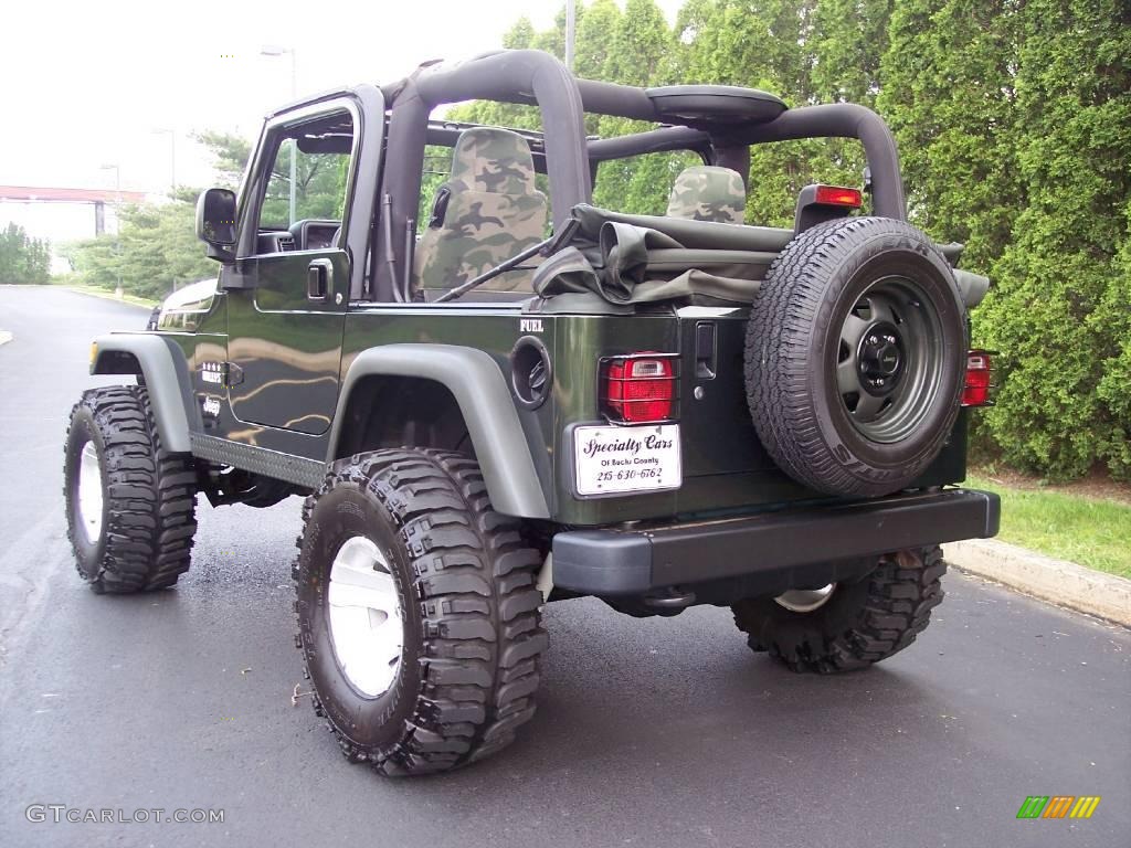 2004 Wrangler Willys Edition 4x4 - Moss Green Pearlcoat / Camouflage photo #19