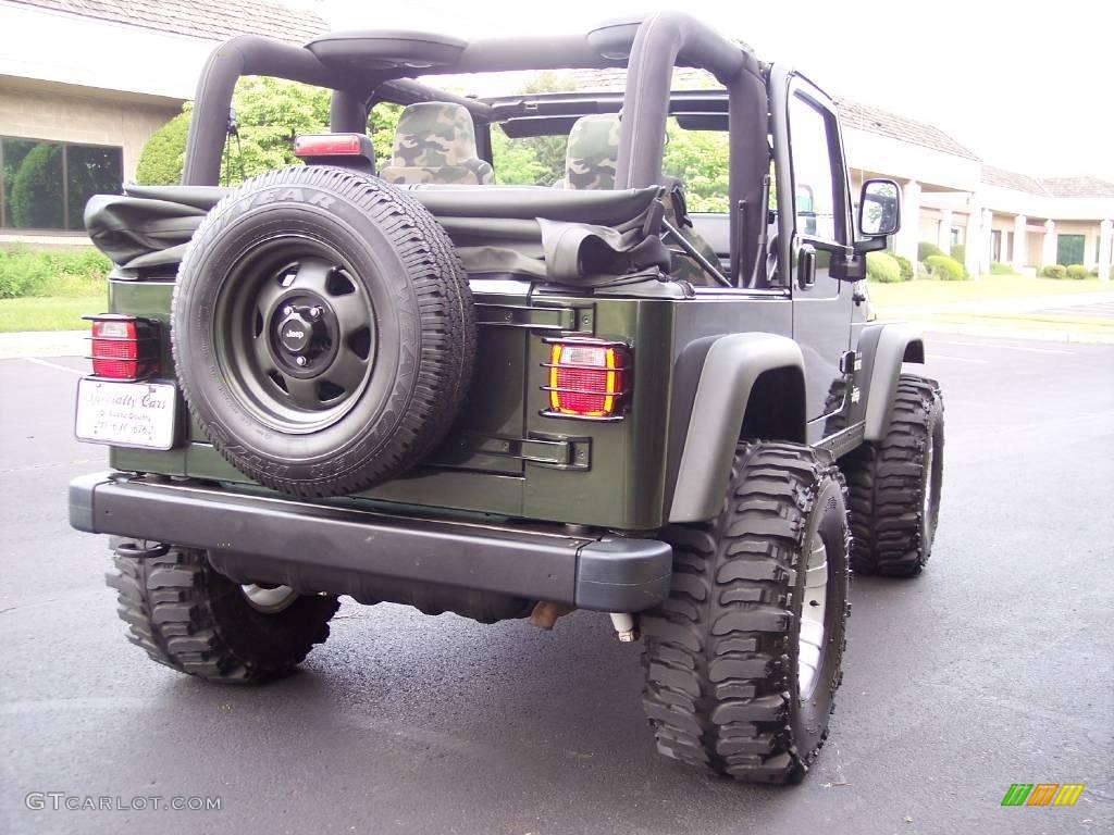 2004 Wrangler Willys Edition 4x4 - Moss Green Pearlcoat / Camouflage photo #21