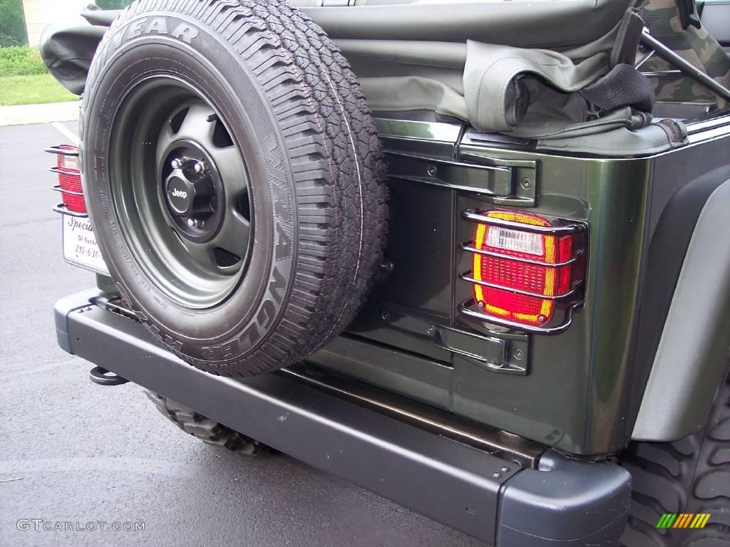 2004 Wrangler Willys Edition 4x4 - Moss Green Pearlcoat / Camouflage photo #22