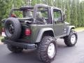 2004 Moss Green Pearlcoat Jeep Wrangler Willys Edition 4x4  photo #23