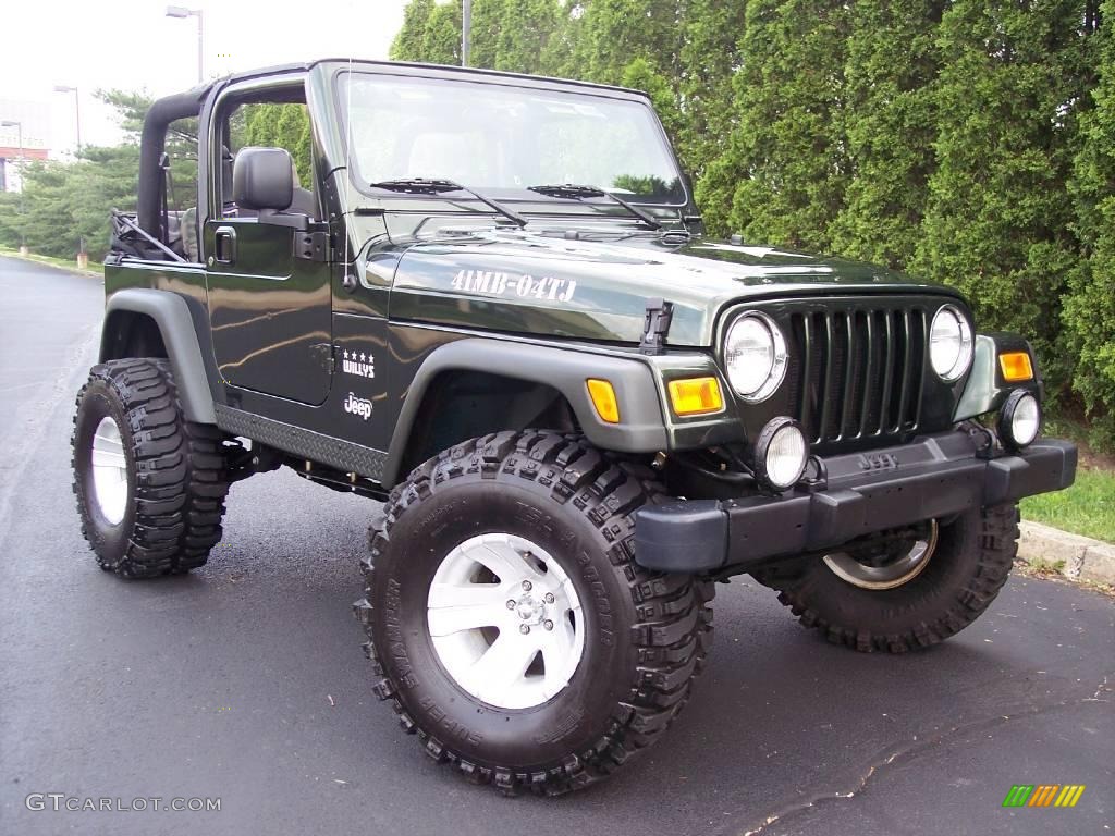 2004 Wrangler Willys Edition 4x4 - Moss Green Pearlcoat / Camouflage photo #27