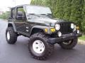 2004 Moss Green Pearlcoat Jeep Wrangler Willys Edition 4x4  photo #27