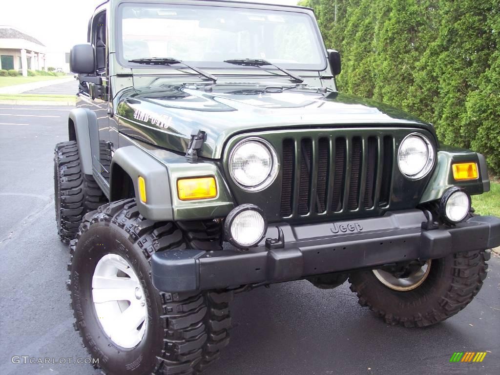 2004 Wrangler Willys Edition 4x4 - Moss Green Pearlcoat / Camouflage photo #28