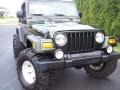 2004 Moss Green Pearlcoat Jeep Wrangler Willys Edition 4x4  photo #28