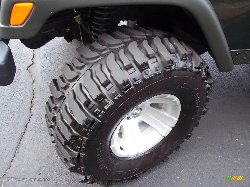 2004 Wrangler Willys Edition 4x4 - Moss Green Pearlcoat / Camouflage photo #43
