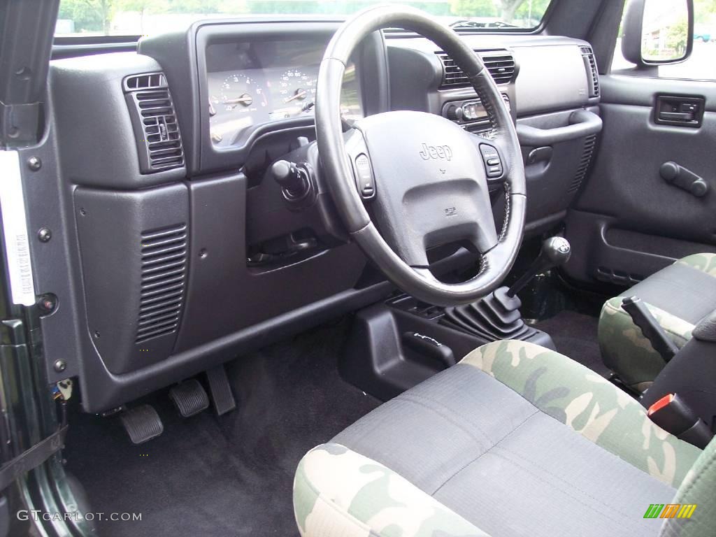 2004 Wrangler Willys Edition 4x4 - Moss Green Pearlcoat / Camouflage photo #51