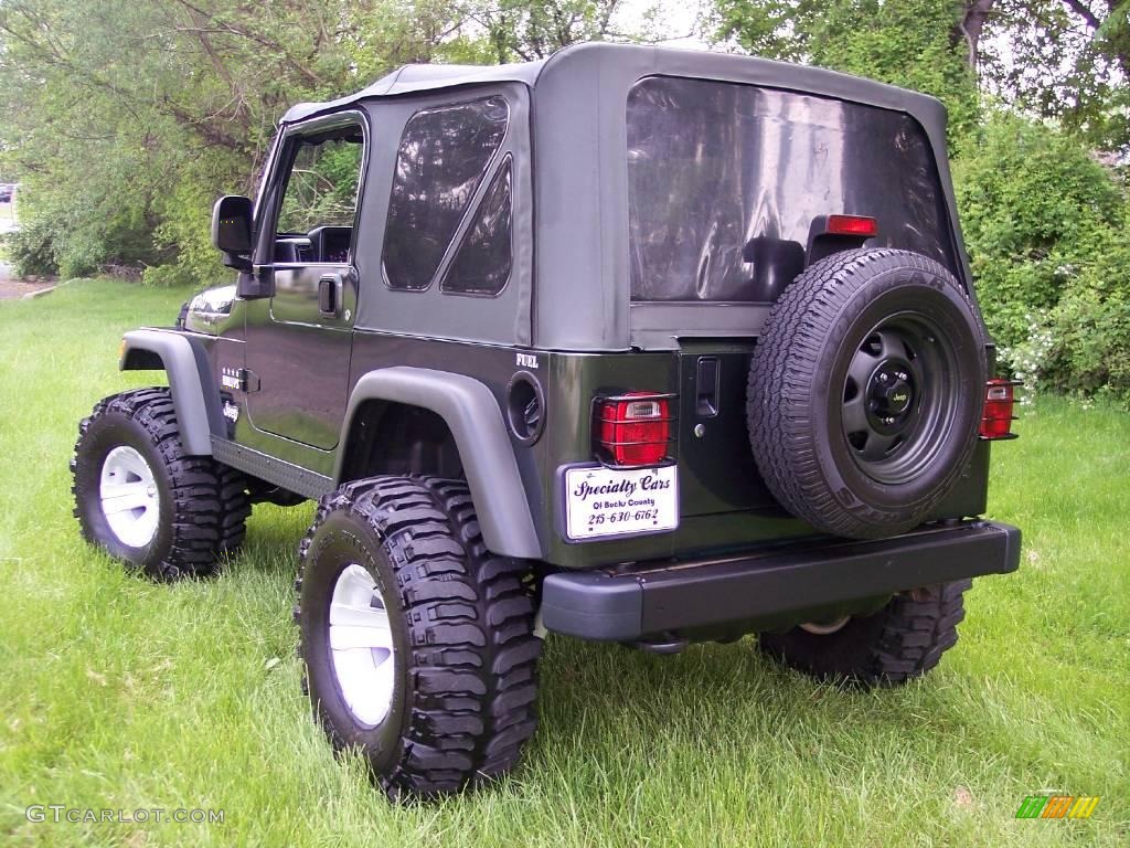2004 Wrangler Willys Edition 4x4 - Moss Green Pearlcoat / Camouflage photo #52