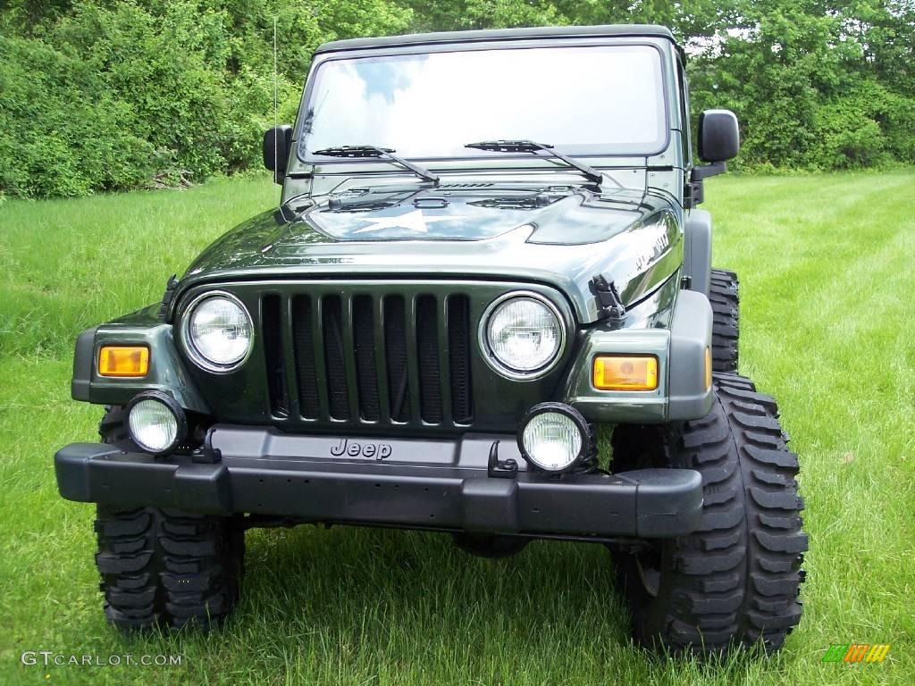 2004 Wrangler Willys Edition 4x4 - Moss Green Pearlcoat / Camouflage photo #54