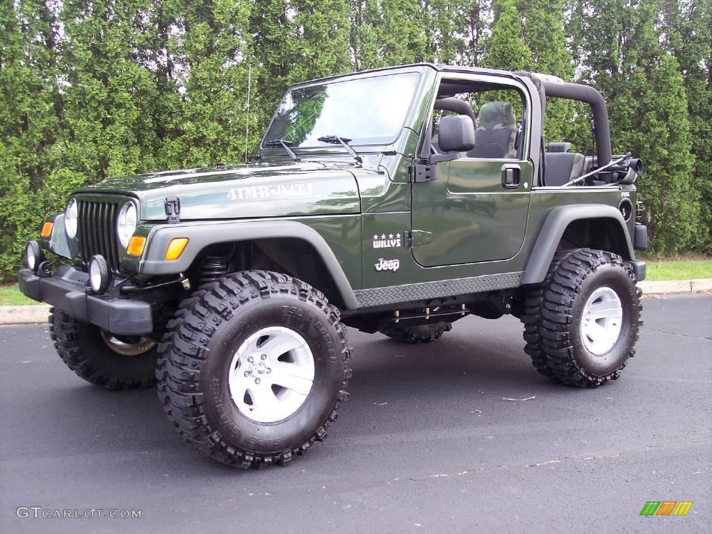 2004 Wrangler Willys Edition 4x4 - Moss Green Pearlcoat / Camouflage photo #56