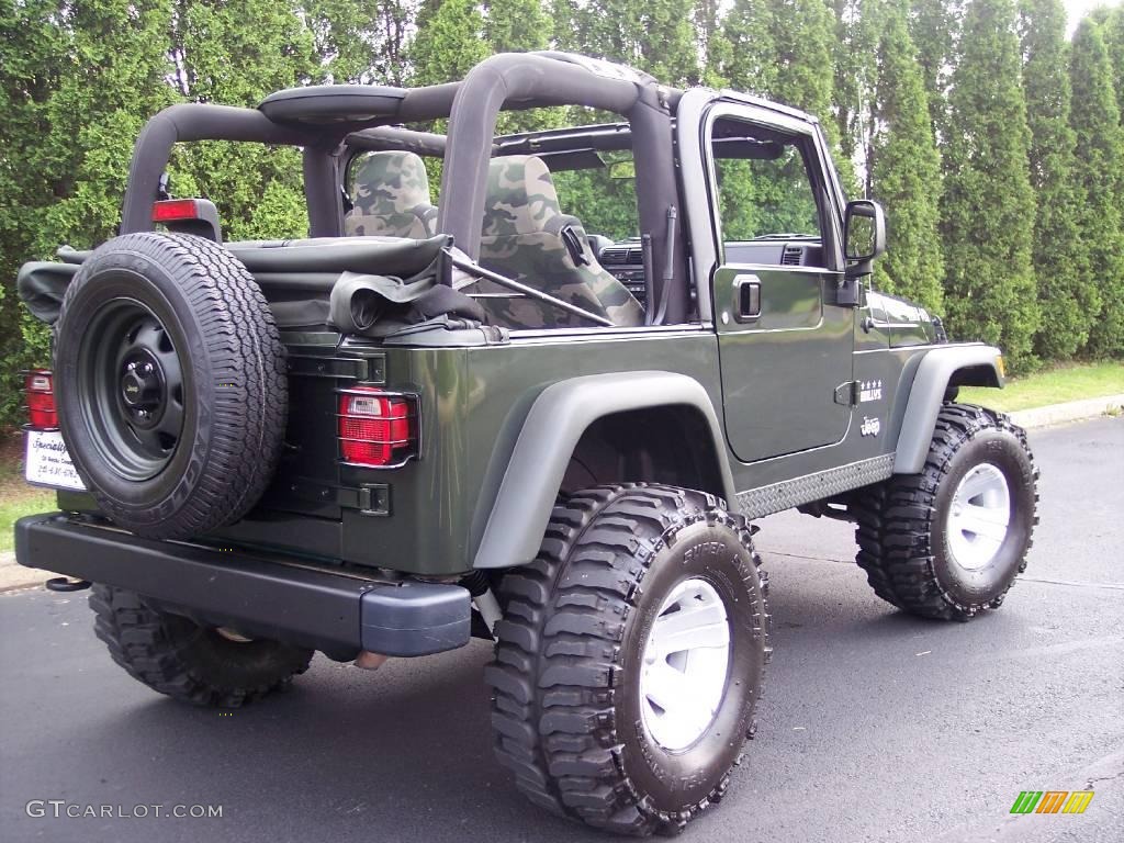 2004 Wrangler Willys Edition 4x4 - Moss Green Pearlcoat / Camouflage photo #78