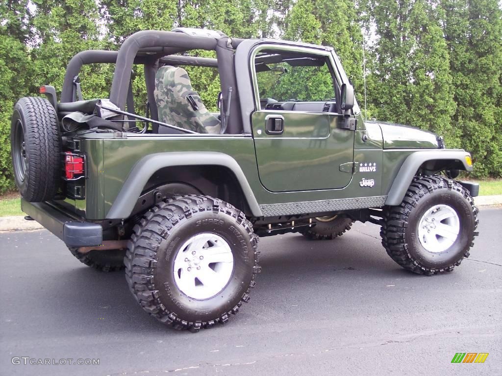 2004 Wrangler Willys Edition 4x4 - Moss Green Pearlcoat / Camouflage photo #80