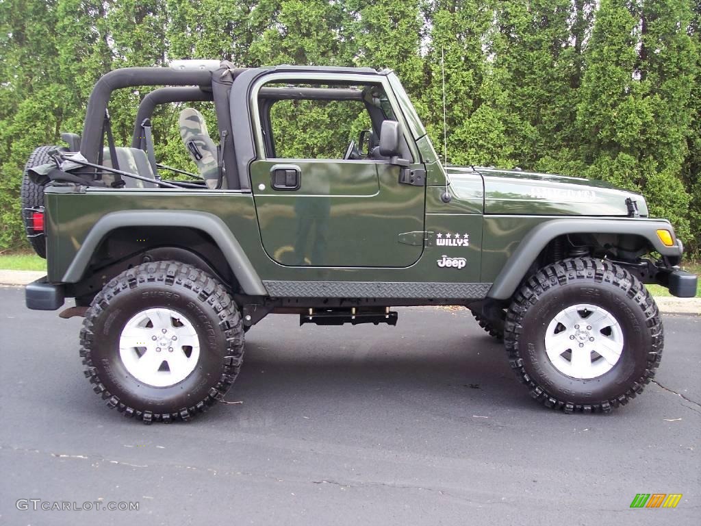 2004 Wrangler Willys Edition 4x4 - Moss Green Pearlcoat / Camouflage photo #81