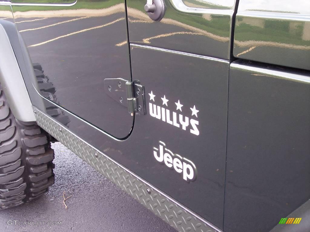 2004 Wrangler Willys Edition 4x4 - Moss Green Pearlcoat / Camouflage photo #86