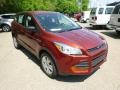 2014 Sunset Ford Escape S  photo #2