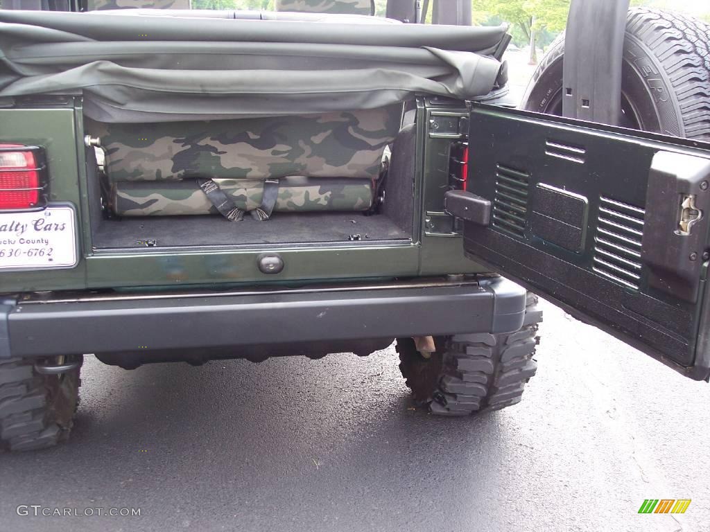 2004 Wrangler Willys Edition 4x4 - Moss Green Pearlcoat / Camouflage photo #109