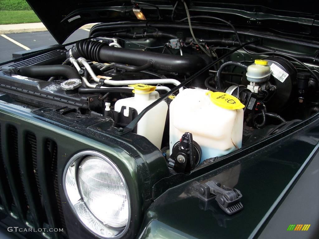 2004 Wrangler Willys Edition 4x4 - Moss Green Pearlcoat / Camouflage photo #111