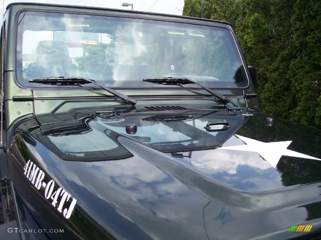 2004 Wrangler Willys Edition 4x4 - Moss Green Pearlcoat / Camouflage photo #112
