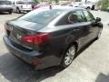 Smoky Granite Mica - IS 250 AWD Photo No. 3