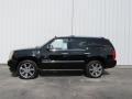 Black Raven - Escalade AWD Photo No. 2