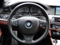 Cinnamon Brown Steering Wheel Photo for 2012 BMW 5 Series #93646270