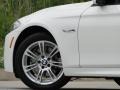2012 BMW 5 Series 528i Sedan Wheel and Tire Photo