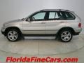 Titanium Silver Metallic - X5 4.4i Photo No. 3