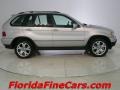 Titanium Silver Metallic - X5 4.4i Photo No. 4