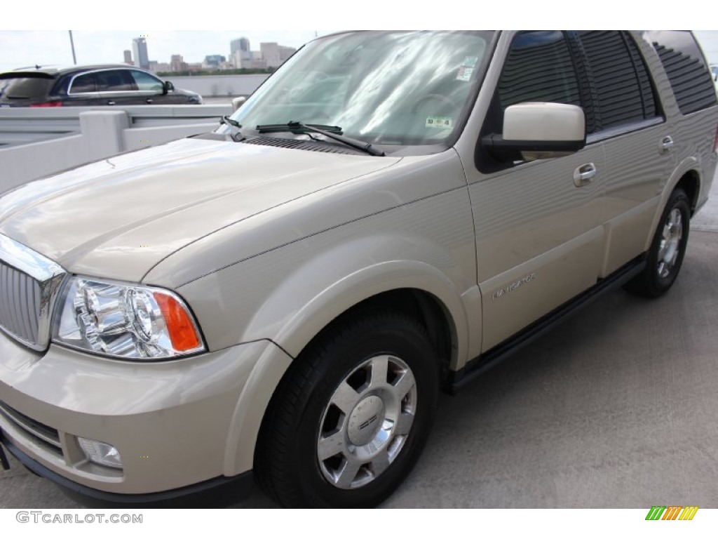 2006 Navigator Luxury - Light French Silk Metallic / Camel photo #3