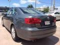 Platinum Gray Metallic - Jetta SE Sedan Photo No. 3