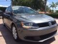 Platinum Gray Metallic - Jetta SE Sedan Photo No. 7