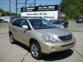 Savannah Metallic - RX 400h AWD Hybrid Photo No. 1