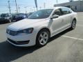 Candy White - Passat 2.5L SE Photo No. 2