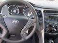 Phantom Black Metallic - Sonata GLS Photo No. 7
