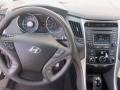 2014 Phantom Black Metallic Hyundai Sonata GLS  photo #7