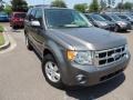 Sterling Gray Metallic 2012 Ford Escape XLT V6