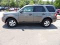 Sterling Gray Metallic - Escape XLT V6 Photo No. 2